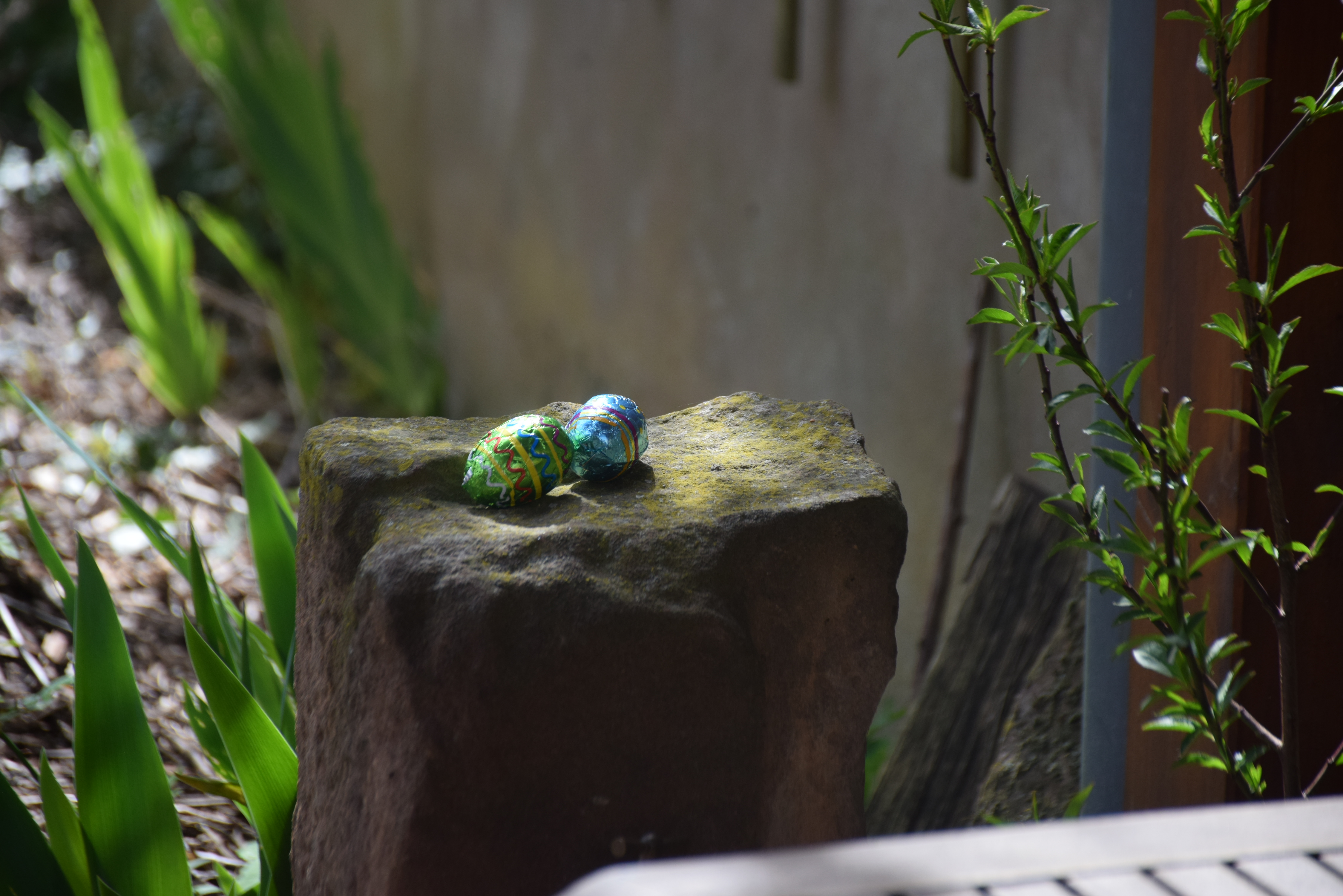 DSC_0004.JPG